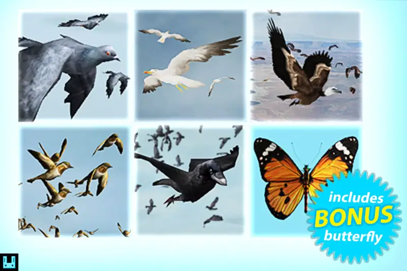 Bird Flock Bundle
