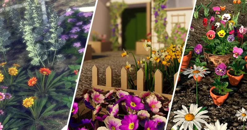 Garden Flowers and Herbs Pack